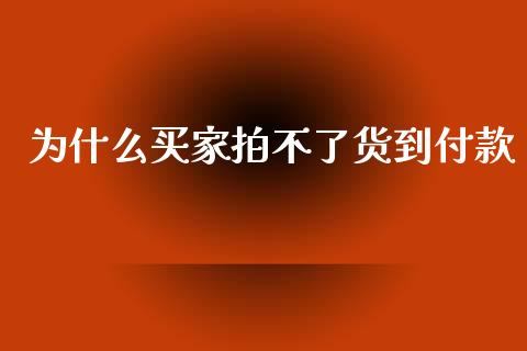为什么买家拍不了货到付款_https://m.qdlswl.com_恒指在线直播间_第1张