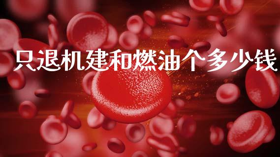 只退机建和燃油个多少钱_https://m.qdlswl.com_恒指在线直播间_第1张