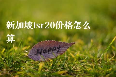 新加坡tsr20价格怎么算_https://m.qdlswl.com_恒生指数直播喊单_第1张