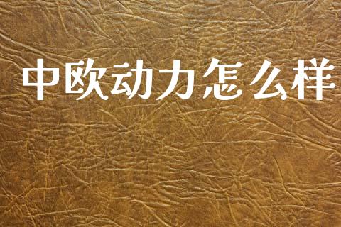 中欧动力怎么样_https://m.qdlswl.com_纳指直播_第1张