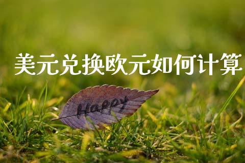美元兑换欧元如何计算_https://m.qdlswl.com_恒指德指直播室_第1张