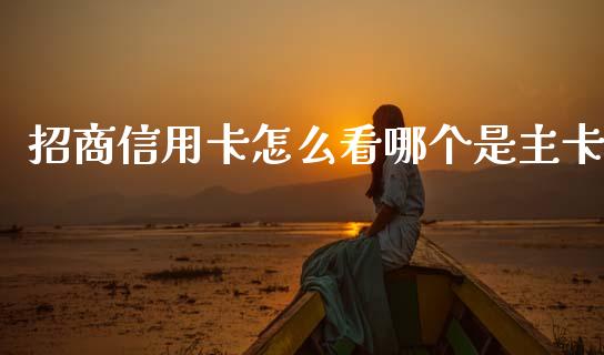 招商信用卡怎么看哪个是主卡_https://m.qdlswl.com_纳指直播_第1张