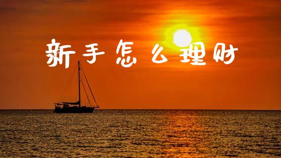 新手怎么理财_https://m.qdlswl.com_恒指德指直播室_第1张