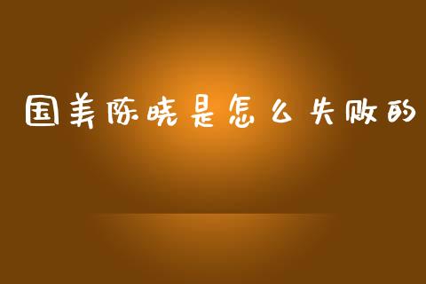 国美陈晓是怎么失败的_https://m.qdlswl.com_恒生指数直播喊单_第1张