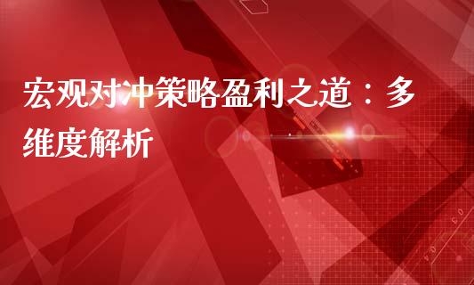 宏观对冲策略盈利之道：多维度解析_https://m.qdlswl.com_恒生指数直播喊单_第1张