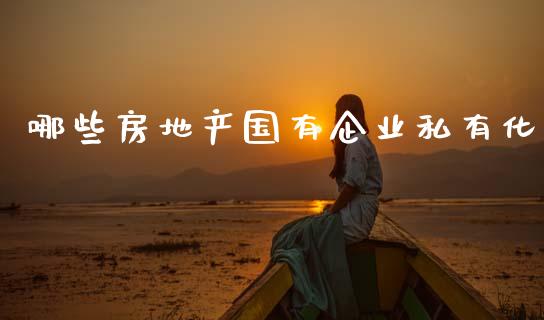 哪些房地产国有企业私有化_https://m.qdlswl.com_恒指在线直播间_第1张
