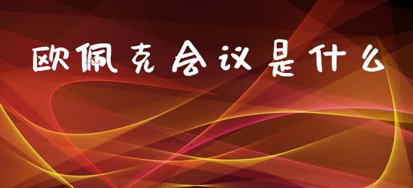 欧佩克会议是什么_https://m.qdlswl.com_恒生指数直播喊单_第1张