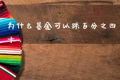 为什么基金可以跌百分之四十_https://m.qdlswl.com_恒指德指直播室_第1张