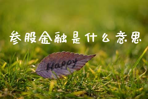 参股金融是什么意思_https://m.qdlswl.com_恒指在线直播间_第1张