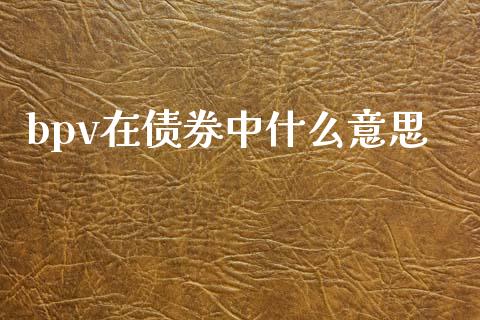 bpv在债券中什么意思_https://m.qdlswl.com_恒指德指直播室_第1张