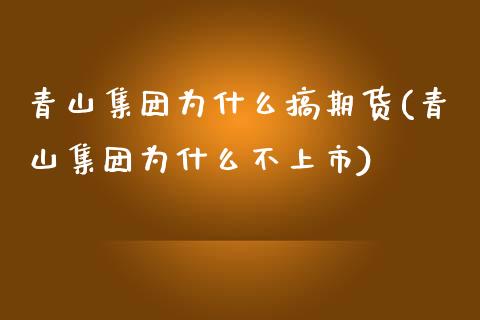 青山集团为什么搞期货(青山集团为什么不上市)_https://m.qdlswl.com_恒指德指直播室_第1张
