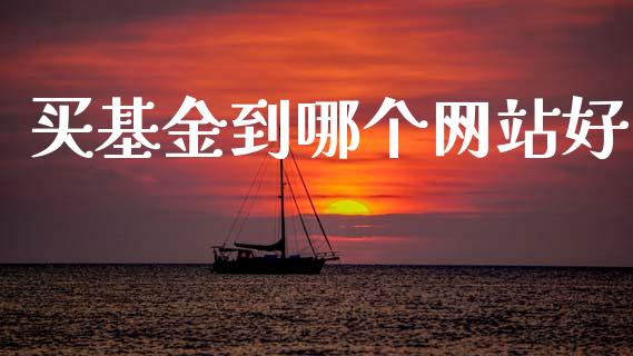 买基金到哪个网站好_https://m.qdlswl.com_恒生指数直播喊单_第1张