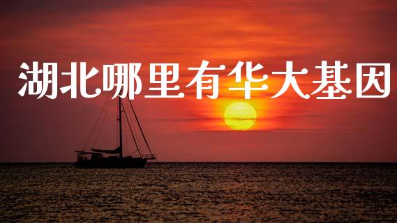 湖北哪里有华大基因_https://m.qdlswl.com_恒指在线直播间_第1张