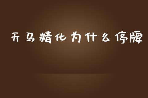 天马精化为什么停牌_https://m.qdlswl.com_恒指德指直播室_第1张
