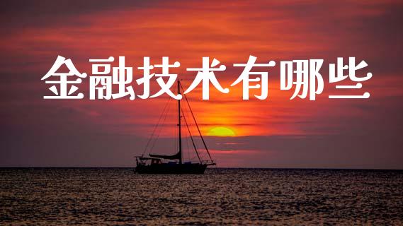 金融技术有哪些_https://m.qdlswl.com_恒生指数直播喊单_第1张
