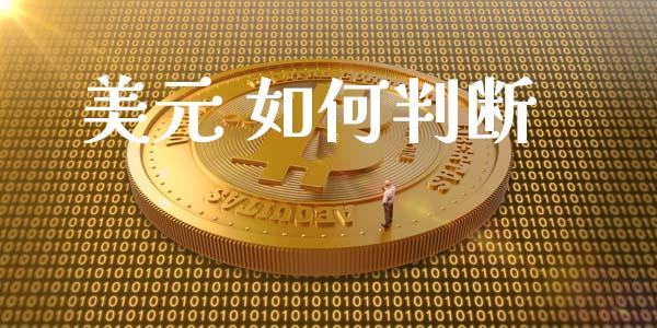 美元 如何判断_https://m.qdlswl.com_纳指直播_第1张