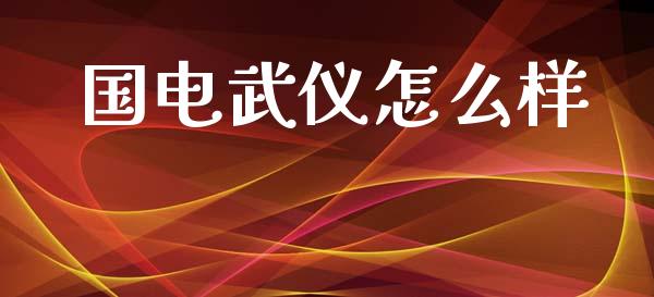 国电武仪怎么样_https://m.qdlswl.com_恒生指数直播喊单_第1张