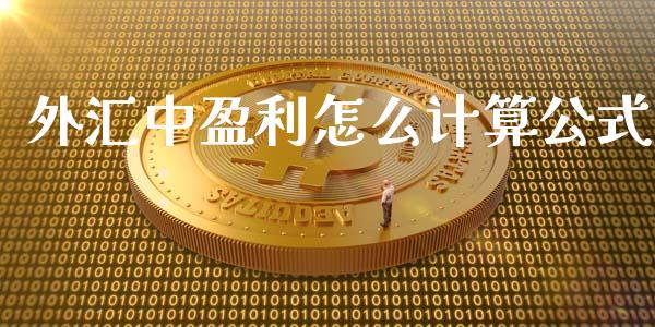 外汇中盈利怎么计算公式_https://m.qdlswl.com_恒指德指直播室_第1张