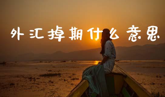 外汇掉期什么意思_https://m.qdlswl.com_恒指德指直播室_第1张