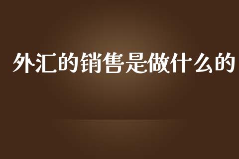 外汇的销售是做什么的_https://m.qdlswl.com_恒生指数直播喊单_第1张