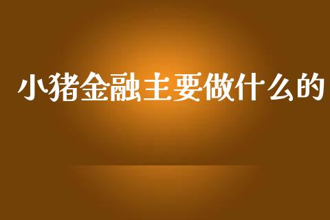 小猪金融主要做什么的_https://m.qdlswl.com_恒生指数直播喊单_第1张