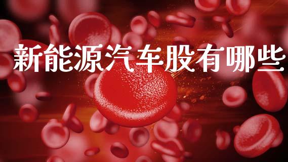 新能源汽车股有哪些_https://m.qdlswl.com_恒指德指直播室_第1张