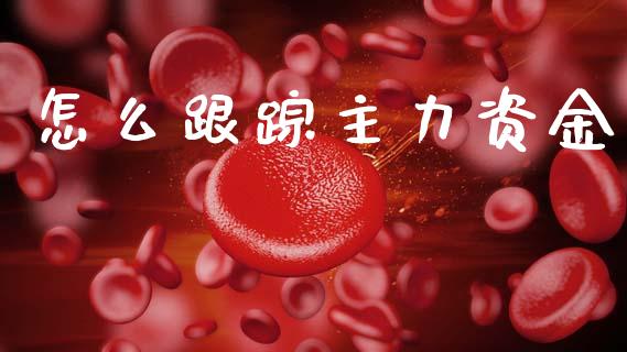 怎么跟踪主力资金_https://m.qdlswl.com_恒生指数直播喊单_第1张