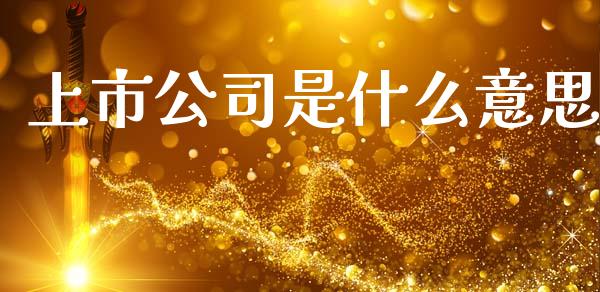上市公司是什么意思_https://m.qdlswl.com_纳指直播_第1张