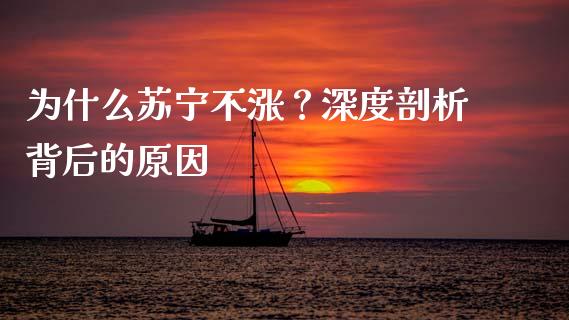 为什么苏宁不涨？深度剖析背后的原因_https://m.qdlswl.com_恒生指数直播喊单_第1张