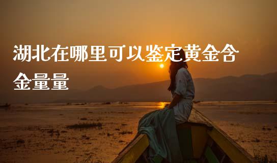 湖北在哪里可以鉴定黄金含金量量_https://m.qdlswl.com_恒指在线直播间_第1张