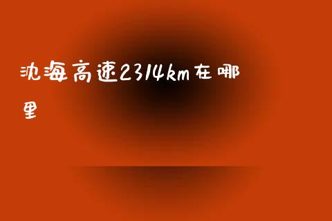 沈海高速2314km在哪里_https://m.qdlswl.com_纳指直播_第1张