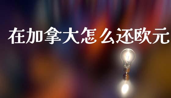 在加拿大怎么还欧元_https://m.qdlswl.com_恒指在线直播间_第1张