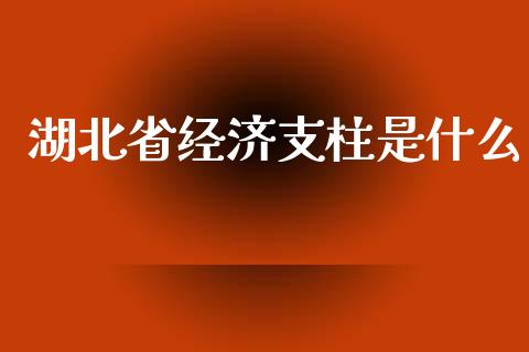 湖北省经济支柱是什么_https://m.qdlswl.com_恒指在线直播间_第1张