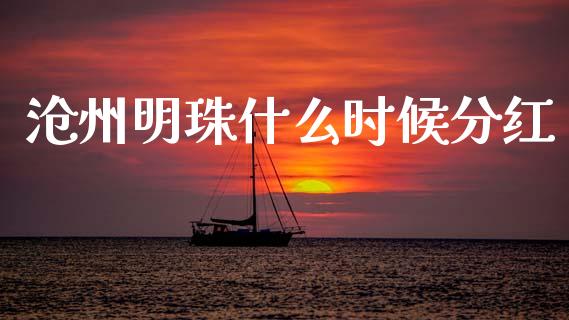 沧州明珠什么时候分红_https://m.qdlswl.com_恒指德指直播室_第1张