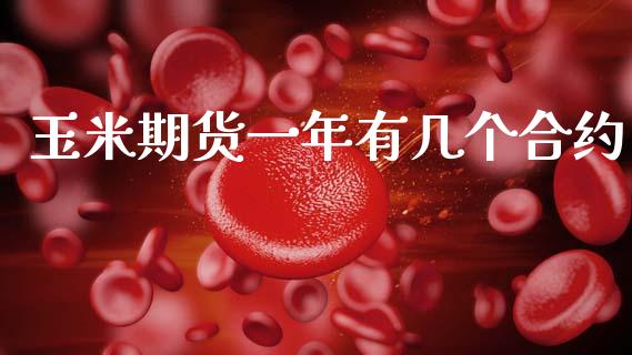 玉米期货一年有几个合约_https://m.qdlswl.com_恒指德指直播室_第1张
