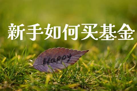 新手如何买基金_https://m.qdlswl.com_恒指德指直播室_第1张
