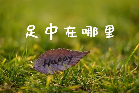 足中在哪里_https://m.qdlswl.com_恒指德指直播室_第1张