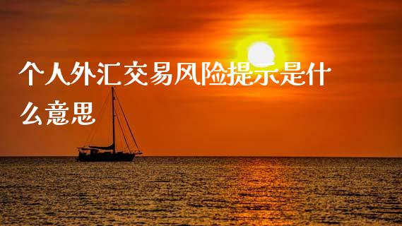 个人外汇交易风险提示是什么意思_https://m.qdlswl.com_纳指直播_第1张