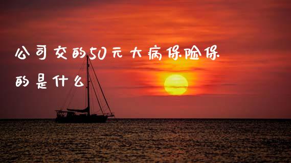 公司交的50元大病保险保的是什么_https://m.qdlswl.com_纳指直播_第1张