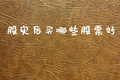 股灾后买哪些股票好_https://m.qdlswl.com_恒指德指直播室_第1张