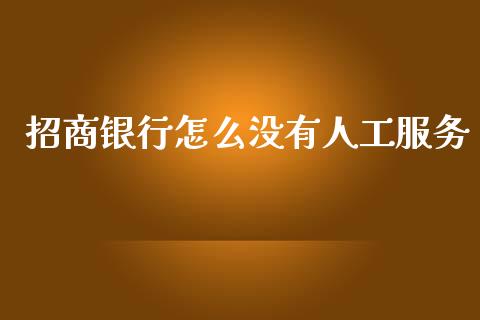 招商银行怎么没有人工服务_https://m.qdlswl.com_纳指直播_第1张