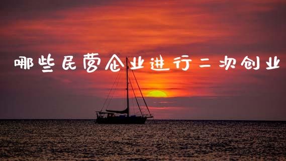 哪些民营企业进行二次创业_https://m.qdlswl.com_恒指德指直播室_第1张