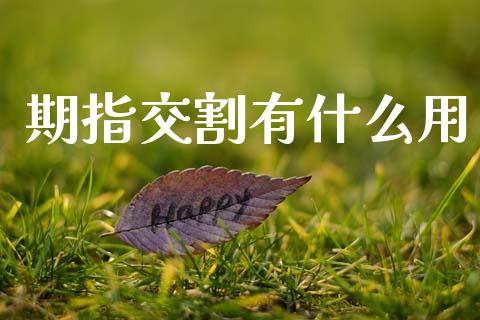 期指交割有什么用_https://m.qdlswl.com_纳指直播_第1张