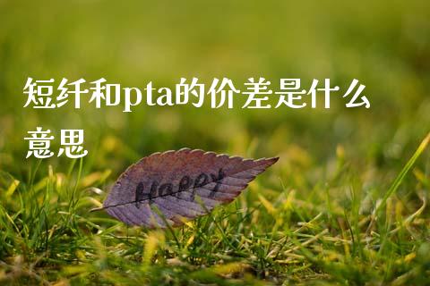 短纤和pta的价差是什么意思_https://m.qdlswl.com_恒生指数直播喊单_第1张