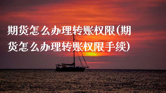 期货怎么办理转账权限(期货怎么办理转账权限手续)_https://m.qdlswl.com_纳指直播_第1张