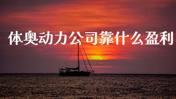 体奥动力公司靠什么盈利_https://m.qdlswl.com_恒指在线直播间_第1张