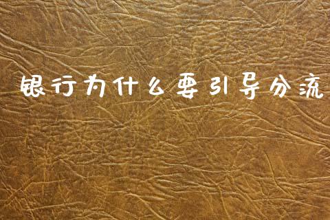 银行为什么要引导分流_https://m.qdlswl.com_纳指直播_第1张
