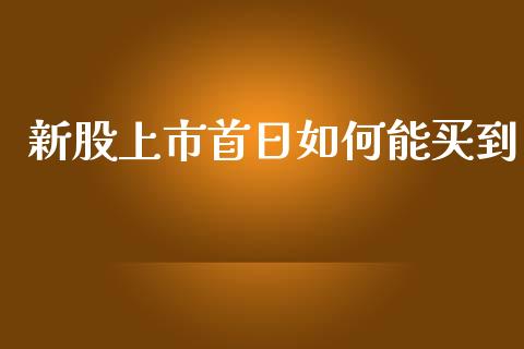 新股上市首日如何能买到_https://m.qdlswl.com_恒生指数直播喊单_第1张