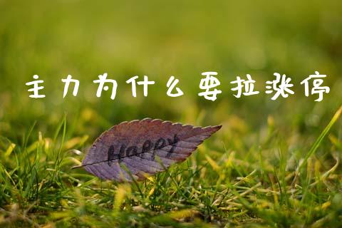 主力为什么要拉涨停_https://m.qdlswl.com_纳指直播_第1张