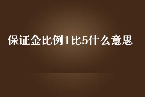 保证金比例1比5什么意思_https://m.qdlswl.com_恒指德指直播室_第1张